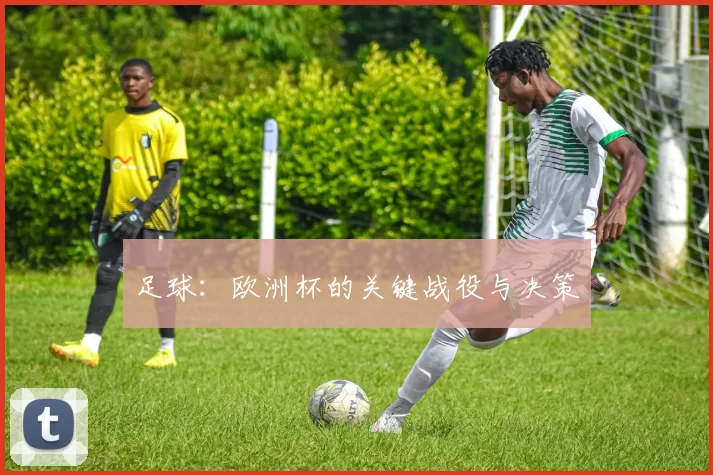 足球：欧洲杯的关键战役与决策