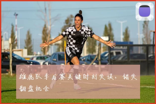 雄鹿队季后赛关键时刻失误，错失翻盘机会